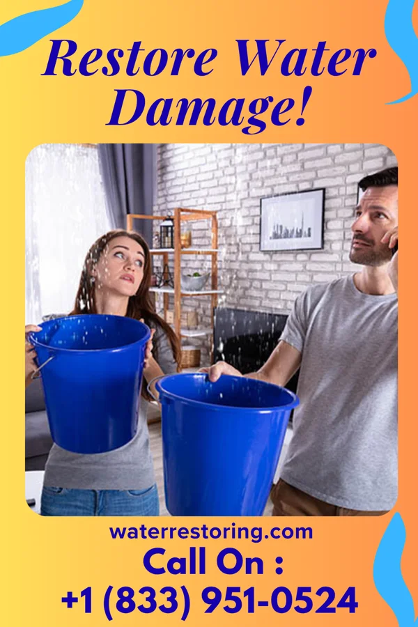 water restoration Elite Water Mitigation Eleanor