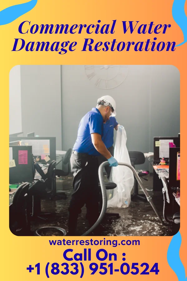 Commercial Water Damage Restoration in Eleanor, WV
