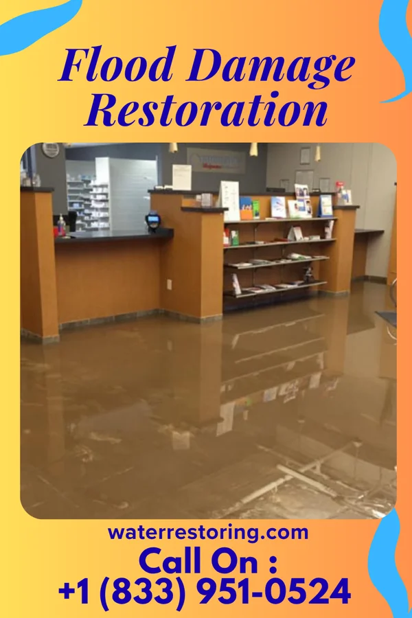 Flood Damage Restoration in Eleanor, WV