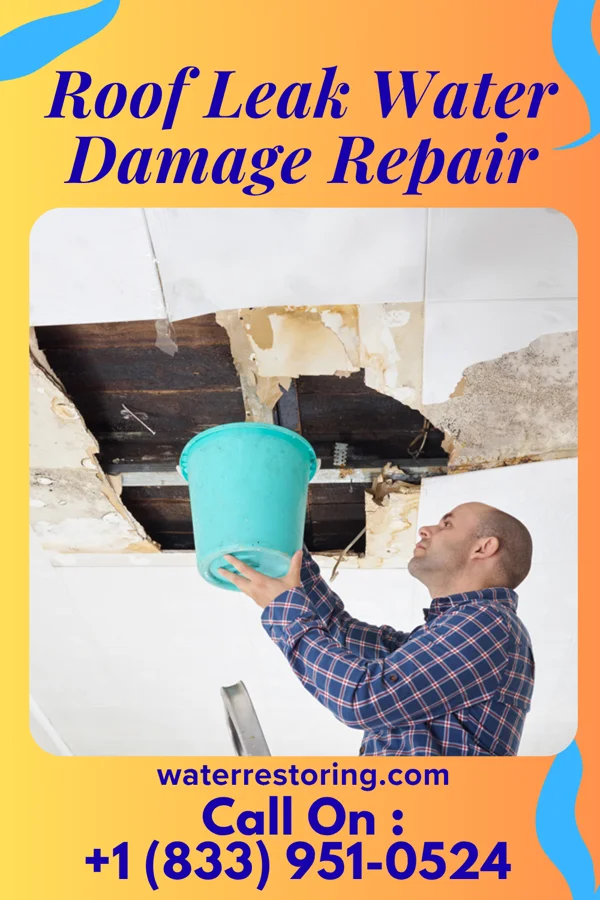Roof Leak Water Damage Repair in Eleanor, WV