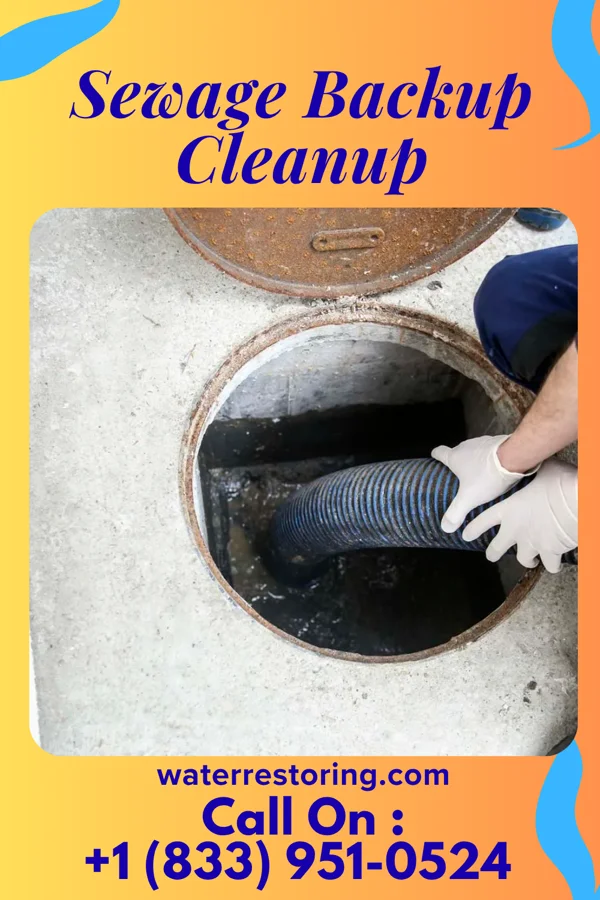 Sewage Backup Cleanup in Eleanor, WV