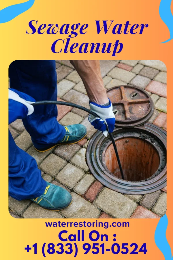 Sewage Water Cleanup in Eleanor, WV