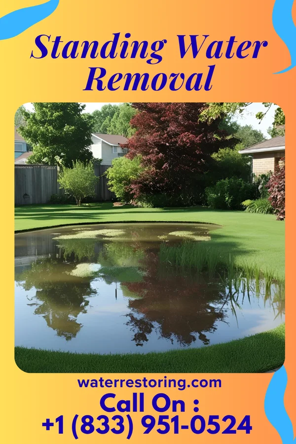 Standing Water Removal in Eleanor, WV